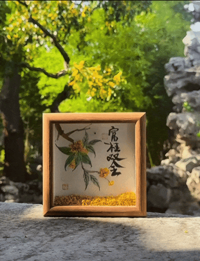 的巨巨巨棒！这份季节限定的美好请查收～米乐体育M6直播平台这些桂花利用方法真(图11)
